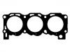 Cylinder Head Gasket:6 073 140