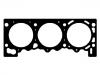 Zylinderkopfdichtung Cylinder Head Gasket:10105000