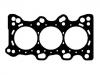 прокладка цилиндра Cylinder Head Gasket:10112100