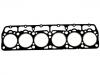 прокладка цилиндра Cylinder Head Gasket:0761513