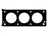 Cylinder Head Gasket:0203.67