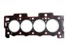 Cylinder Head Gasket:0209.Y0