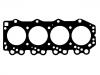 Cylinder Head Gasket:SE01-10-271