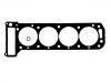 Cylinder Head Gasket:607 469