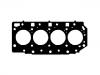 Cylinder Head Gasket:22311-4A010