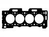 اسطوانة رئيس طوقا Cylinder Head Gasket:0209.AA