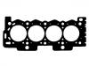 Cylinder Head Gasket:0209.C1