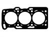 Cylinder Head Gasket:11044-KA011