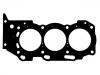 Cylinder Head Gasket:11116-31010