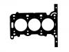 Junta de culata Cylinder Head Gasket:55 565 344