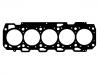 прокладка цилиндра Cylinder Head Gasket:55190353