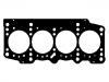 прокладка цилиндра Cylinder Head Gasket:55189949