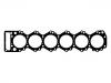 Cylinder Head Gasket:111141-1250