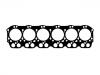 Cylinder Head Gasket:11115-1411