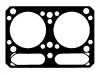 прокладка цилиндра Cylinder Head Gasket:107371