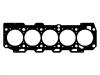 прокладка цилиндра Cylinder Head Gasket:60814967