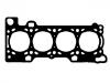 气缸垫 Cylinder Head Gasket:500387068
