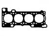 气缸垫 Cylinder Head Gasket:500387069