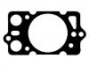 прокладка цилиндра Cylinder Head Gasket:116760150805