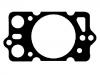 اسطوانة رئيس طوقا Cylinder Head Gasket:116760150803