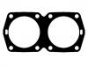 Cylinder Head Gasket:5891791