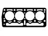 Cylinder Head Gasket:7694363