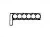 Cylinder Head Gasket:603 016 38 20
