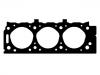 прокладка цилиндра Cylinder Head Gasket:10110300