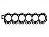 Cylinder Head Gasket:11044-37J00