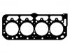 Cylinder Head Gasket:0209.L6