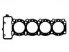 Cylinder Head Gasket:11044-6P007