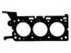 Cylinder Head Gasket:4 921 510