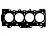 прокладка цилиндра Cylinder Head Gasket:2.202.2149F