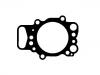 прокладка цилиндра Cylinder Head Gasket:1 468 555