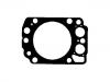 Cylinder Head Gasket:51.03901-0382