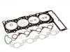 Head Gasket Set:601 010 46 20