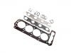 Full Gasket Set:50123600