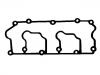 Valve Cover Gasket:964.105.135.01