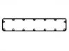 Valve Cover Gasket:1244 469