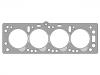Cylinder Head Gasket:06 07 466
