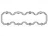Valve Cover Gasket:06 38 192