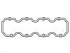 Valve Cover Gasket:06 38 646