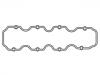 Valve Cover Gasket:06 38 733