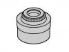 صمام الجذعية ختم Valve Stem Seal:6 166 533