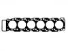 Cylinder Head Gasket:BF0T 6051 AA