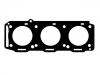 Cylinder Head Gasket:60569900