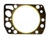 прокладка цилиндра Cylinder Head Gasket:30-026235-10