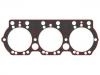 прокладка цилиндра Cylinder Head Gasket:236-1003210