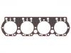 прокладка цилиндра Cylinder Head Gasket:238-1003210