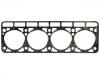 прокладка цилиндра Cylinder Head Gasket:24-1003020
